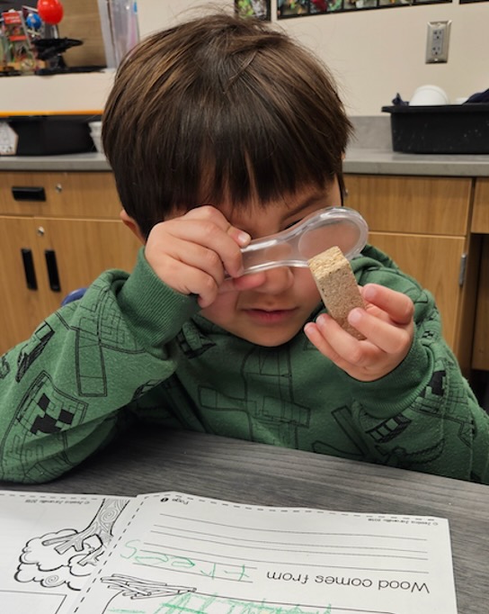 An elementary student examines a piece of wood with a magnifying glass.