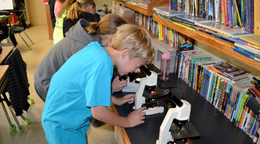 Students Looking Through Microscopes